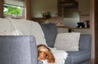 Curlew Lodge Yorkshire - Foto 4