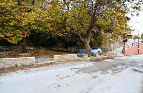 The Theater of Dreams - Foto 4