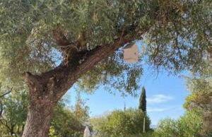 Casa Abanto - Photo 9