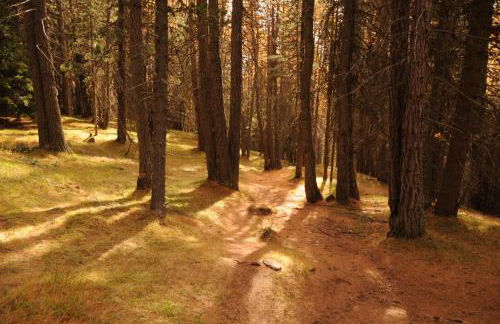 Apartments Dolina - Foto 33