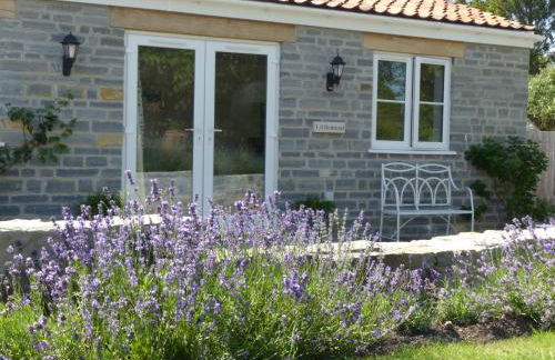 Littlemead - Newly renovated private studio near Glastonbury - Foto 1