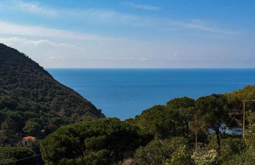 Appartamento la Lucciola - HelloElba - Foto 17