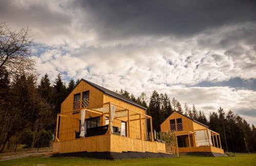 Henry Domki - prywatna sauna i jacuzzi - Foto 1