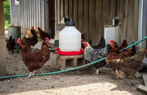 Historic Converted Barn Loft at Sobremesa Farm - Foto 41