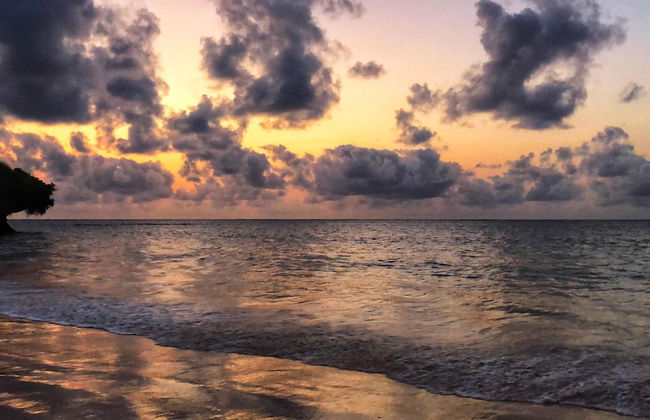 Rafiki Village - Foto 60