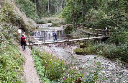 Haus Biggi - Ferienwohnung Pfänder - Photo 9