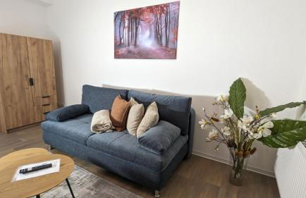 FeWo Urban Gotha-Apartment Ekhof- Am Schlosspark- Parken an der der Tür- Barrierefrei, 900 Meter zum Bahnhof - Wallbox - Foto 28