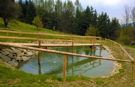 Domki w Kasinie - Foto 33