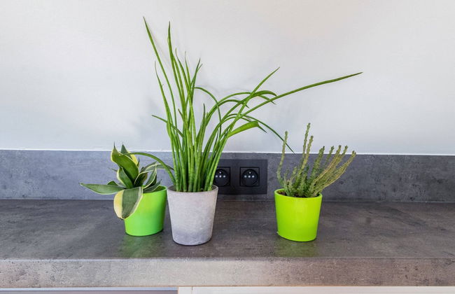 Apartment in Watou Near French Border - Foto 19