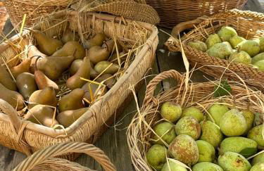 Il Fienile di Bisarno - Foto 32