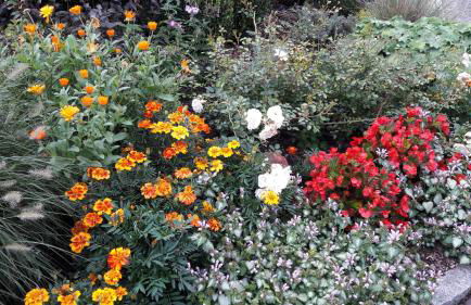 Ferienwohnungen Rump - Foto 23