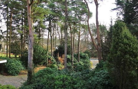 Ferienwohnung Kiefernblick-Wedemann - Foto 3