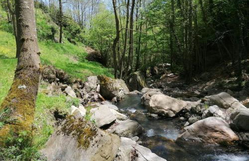 Les Pedres - Foto 56