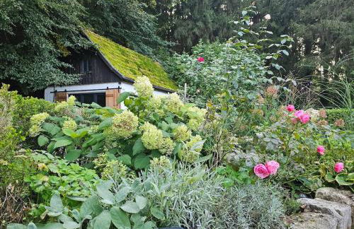 Tiny House mit eigener Sauna am Waldrand in der Fränkischen Schweiz - Foto 19