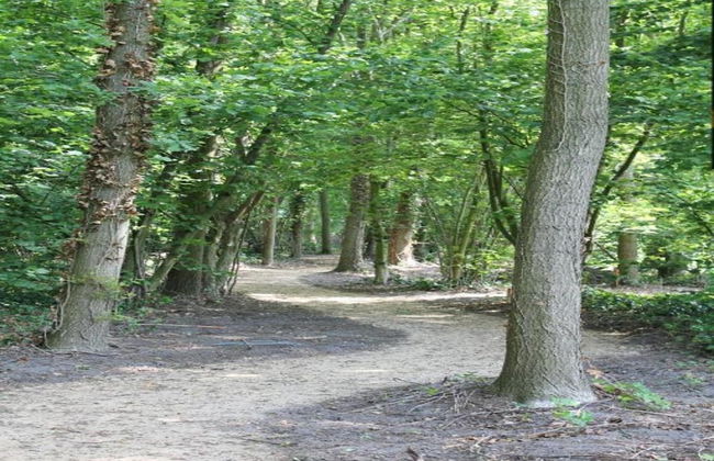 Holiday Home in Netherlands With Pond View - Photo 36