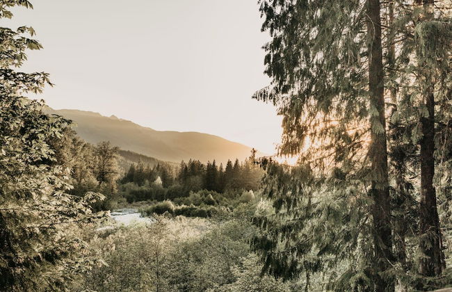 70MBR- Hot Tub - BBQ - Wi-Fi - Pets Ok - Sleeps 8 - Foto 50