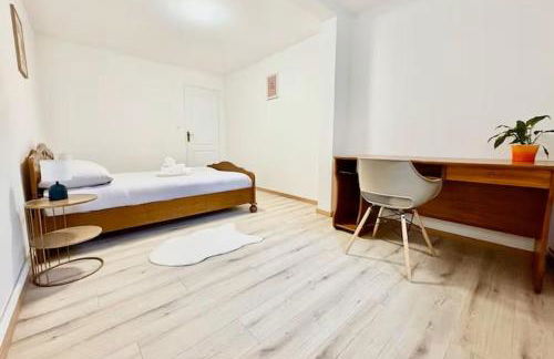 Spacieux appartement 3 chambres à Strasbourg - Foto 19