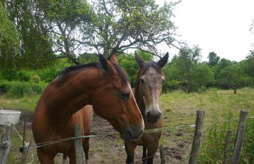 Au clos de marie - Foto 17