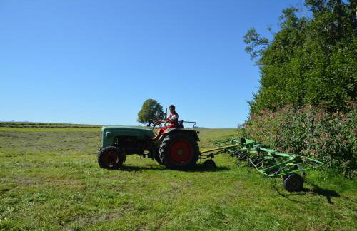 Alex Bergblick - Foto 6