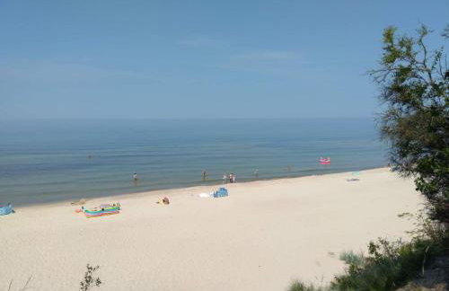 Domki na górce - Photo 29