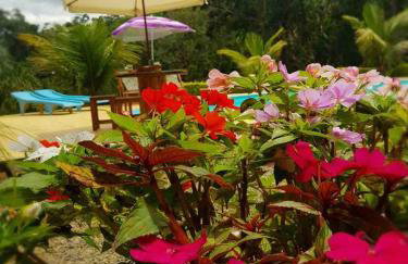Nosso cantinho, Pedaço do paraíso na Natureza - Photo 18