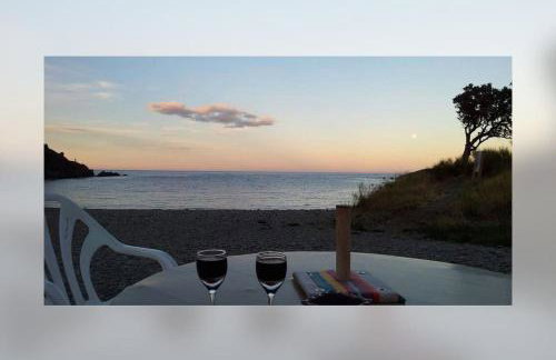 Vue mer, crique de Peyrefite, Cerbère-Banyuls. - Foto 58