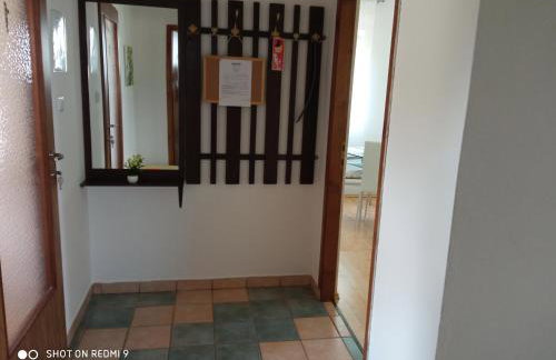 Yellow Rose - Foto 25