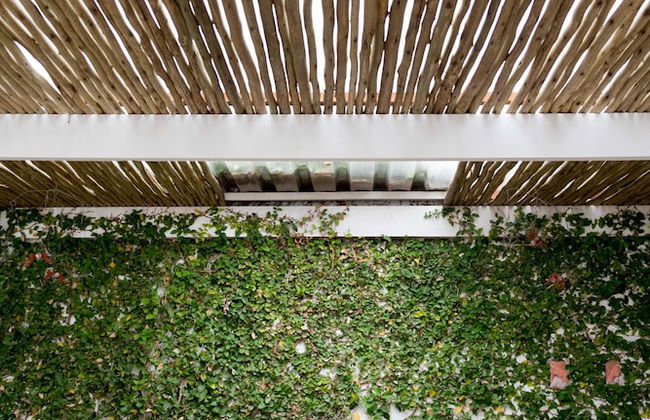 5 Camp Street Guesthouse & Self-catering - Foto 19