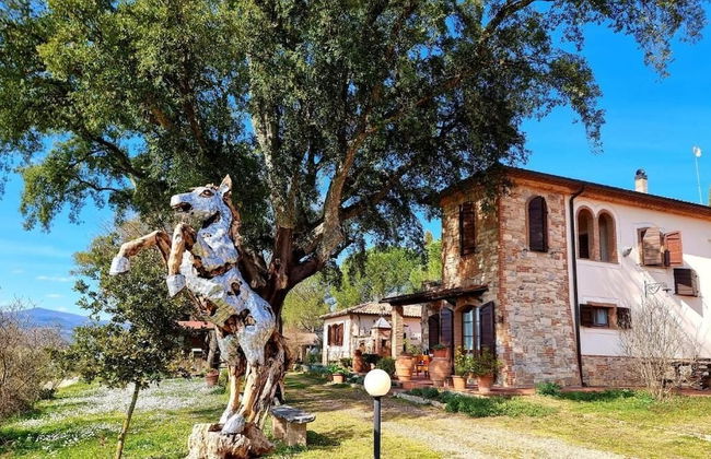 Poggio La Buca - Agriturismo - Foto 1