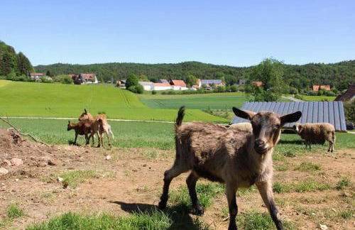 Wunderwelt Betzenstein familiär-ländlich-modern - Foto 15
