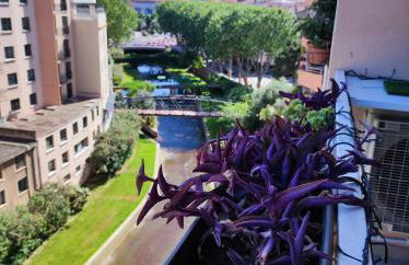 Le balcon de la basse centre ville de Perpignan - Foto 16