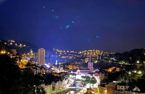 Paisible Eden standing Terrasse - Magnifique Vue - Esprit nature en pleine ville - Foto 10