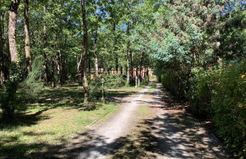 La Morandiere - Foto 39