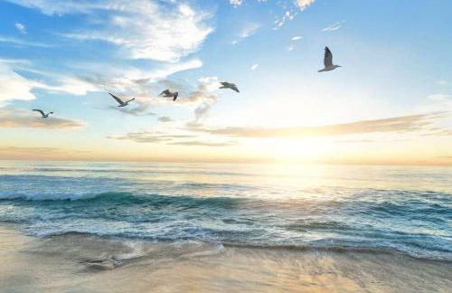 Bay Oaks A Ground Floor - Foto 92