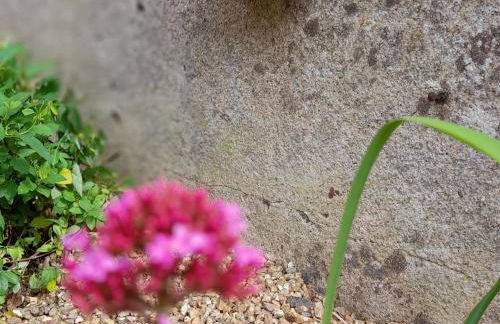 Gîte familial à Arrou avec jardin, babyfoot, mezzanine suspendue et cuisine équipée - FR-1-581-93 - Foto 31