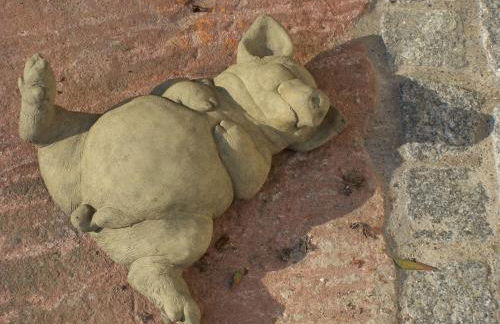 Badische Landoase - Foto 20