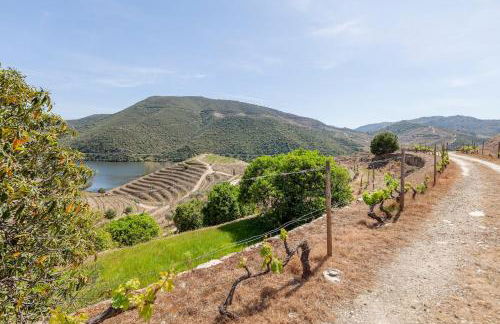 Quinta das Amendoeiras - Foto 34