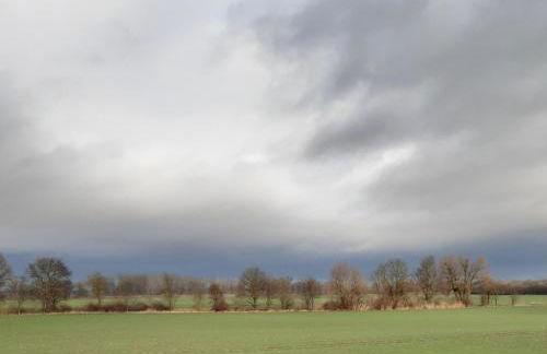 Oderbruch Ferienwohnung Am Speicher - Photo 17