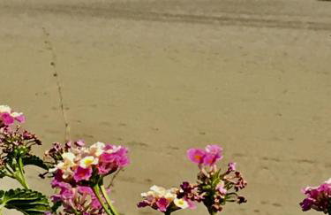 Casa Pammy - Foto 17