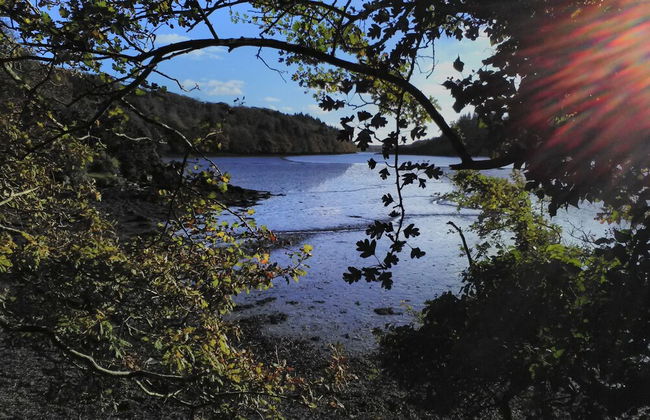 Lovely Sea View Apartment in Rineen - 4 Guests - Foto 11