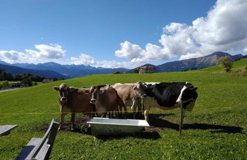 Huberhof Morgensonne - Foto 17