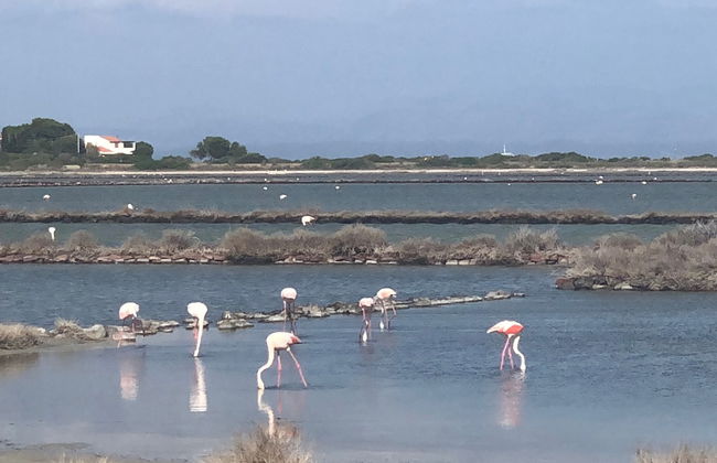 Le Saline amazing apartment with seaview - Foto 11