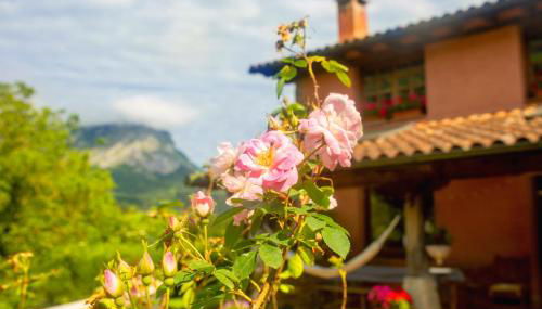 Utsusabar baserria - Foto 3, Garden view