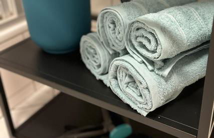 ANER 1 STILVOLLE Ferienwohnung in Dresden-Loschwitz - Foto 23