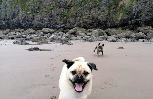 Parcglas - Willow - Foto 9