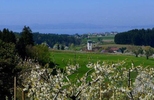 Ferienwohnung Scheck - Foto 12