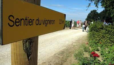 Sentier du vigneron