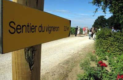 Mutigny Vineyards Tour - Photo 2