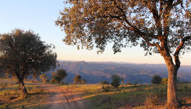 Disfrutando del tour por la Sierra de Andújar