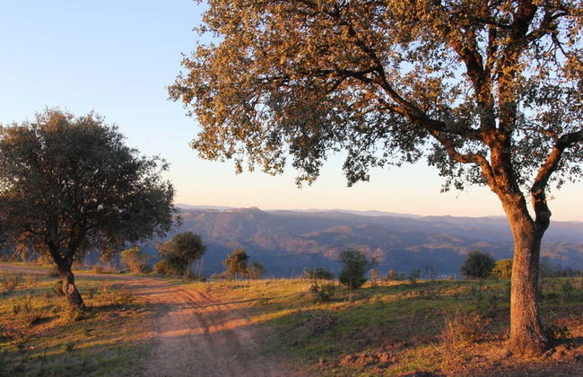 Tour en 4x4 por la Sierra de Andújar - Foto 3